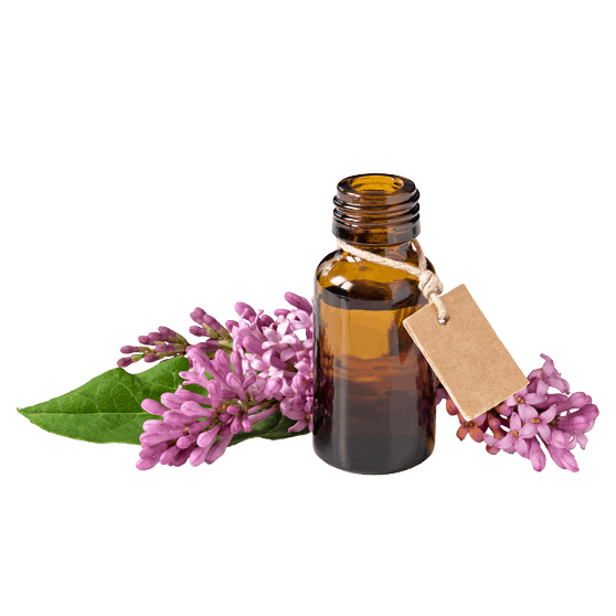 Aromaterapia, buteleczka z olejkiem, dookoła której rozłożone są kwiaty bzu