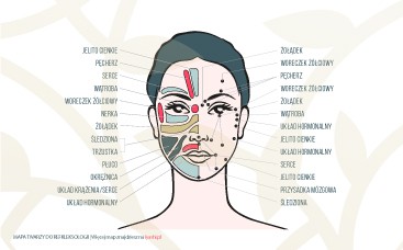 Refleksologia twarzy i głowy, punkty masażu